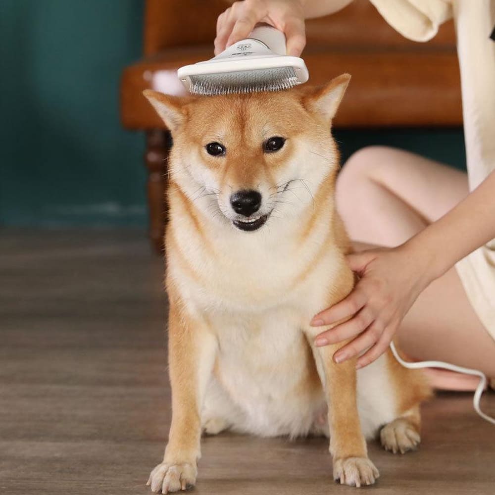 Cepillo secador para mascotas DIFERENTES INTENSIDADES