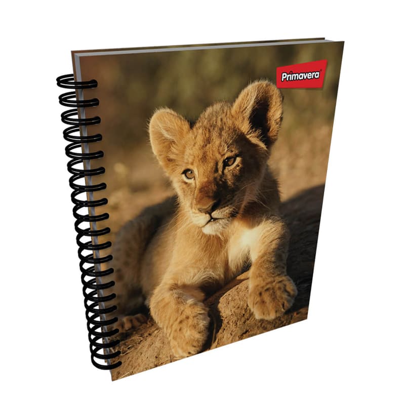 Agenda argollada pasta dura 7 MATERIAS FEMENINO grande MOTIVOS SURTIDOS CUADRICULADO #18