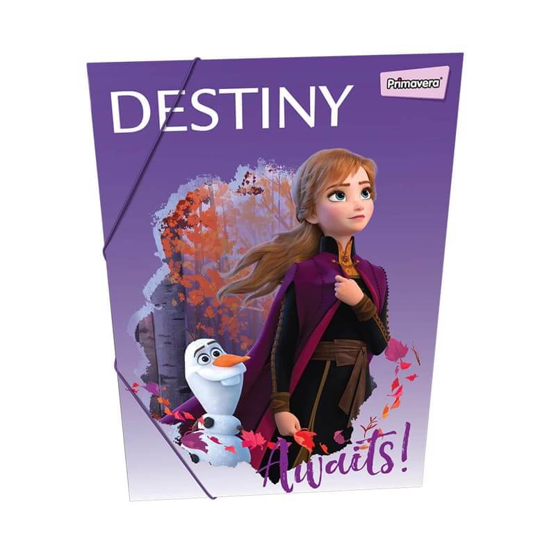 Carpeta con caucho plático DISNEY FROZEN