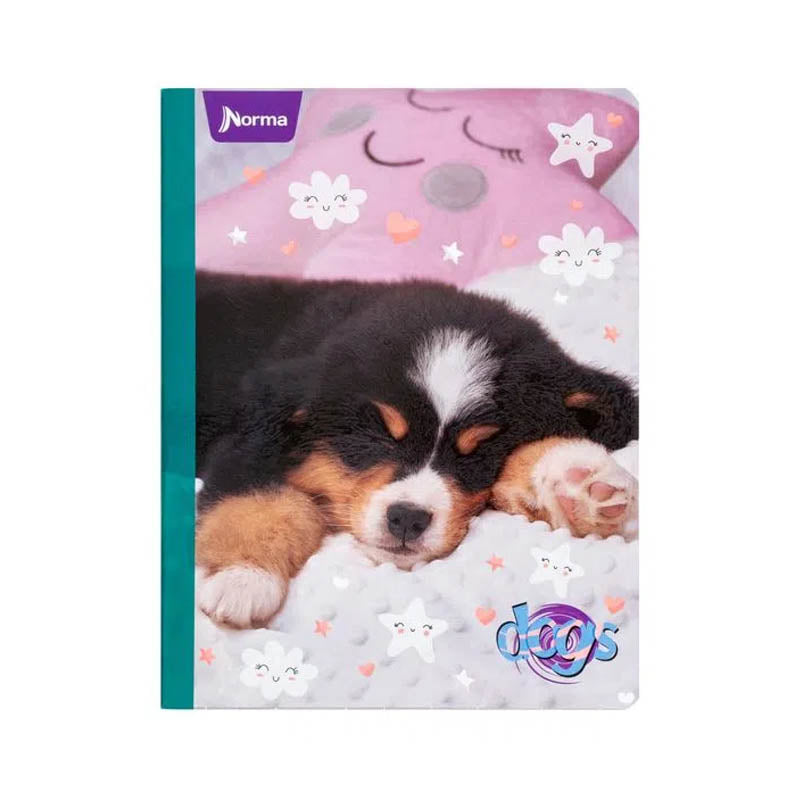 Cuaderno cosido DOGS norma DE 100 HOJAS #1