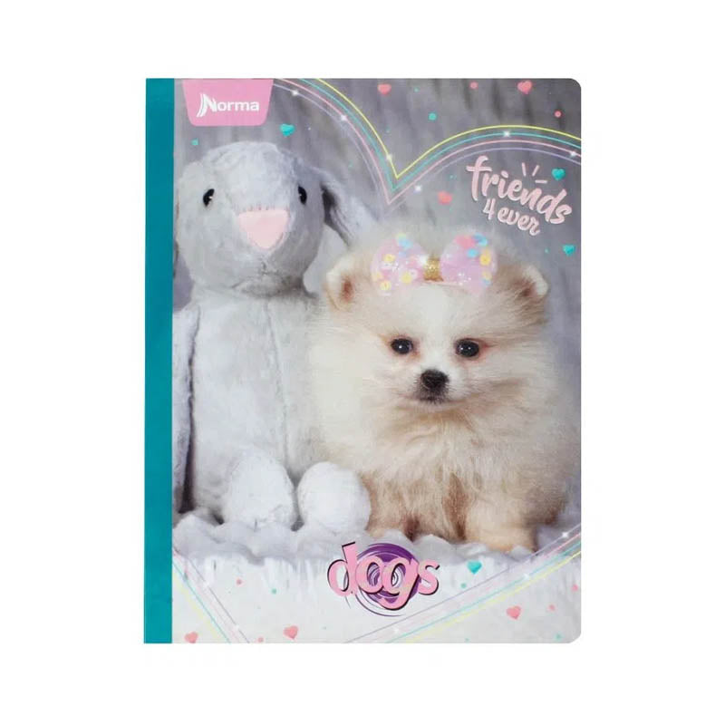 Cuaderno cosido DOGS norma DE 100 HOJAS #6