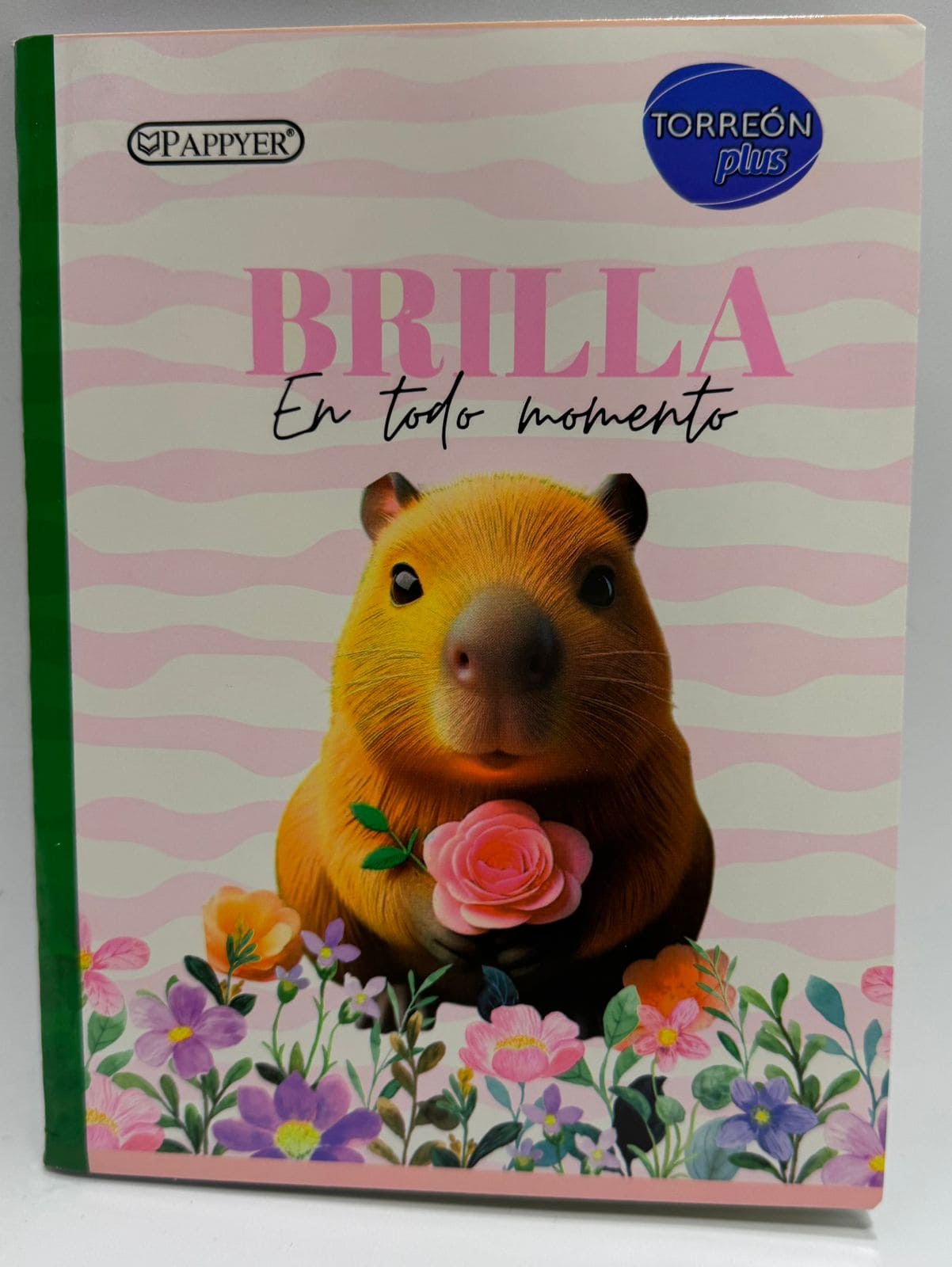 cuaderno stiker capibara
