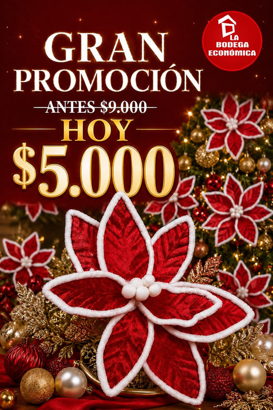 FLOR NAVIDEÑA