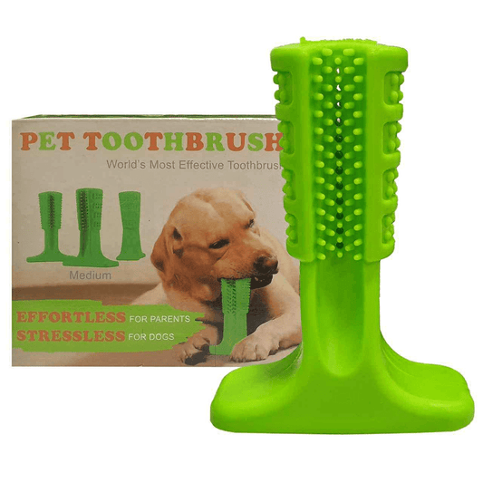 Juguete Cepillo de dientes para perro SILICONADO