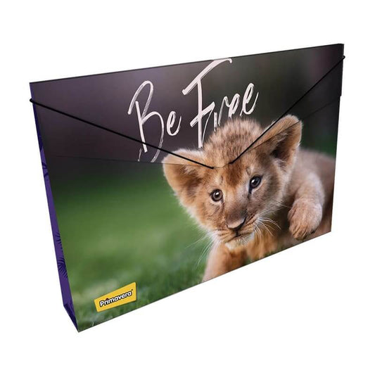 Carpeta fuelle plástico con caucho VARIOS MOTIVOS UNISEX LEÓN