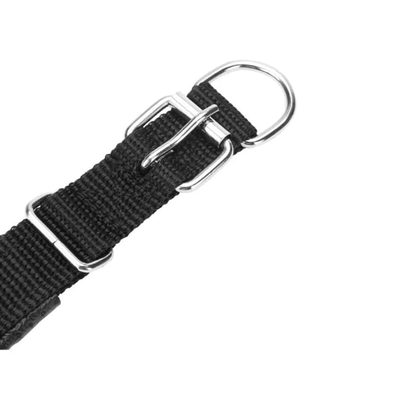 Collar Rastreador De Mascota