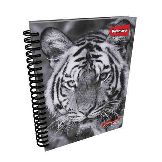 Agenda argollada pasta dura 7 MATERIAS MASCULINO grande MOTIVOS SURTIDOS CUADRICULADO #38