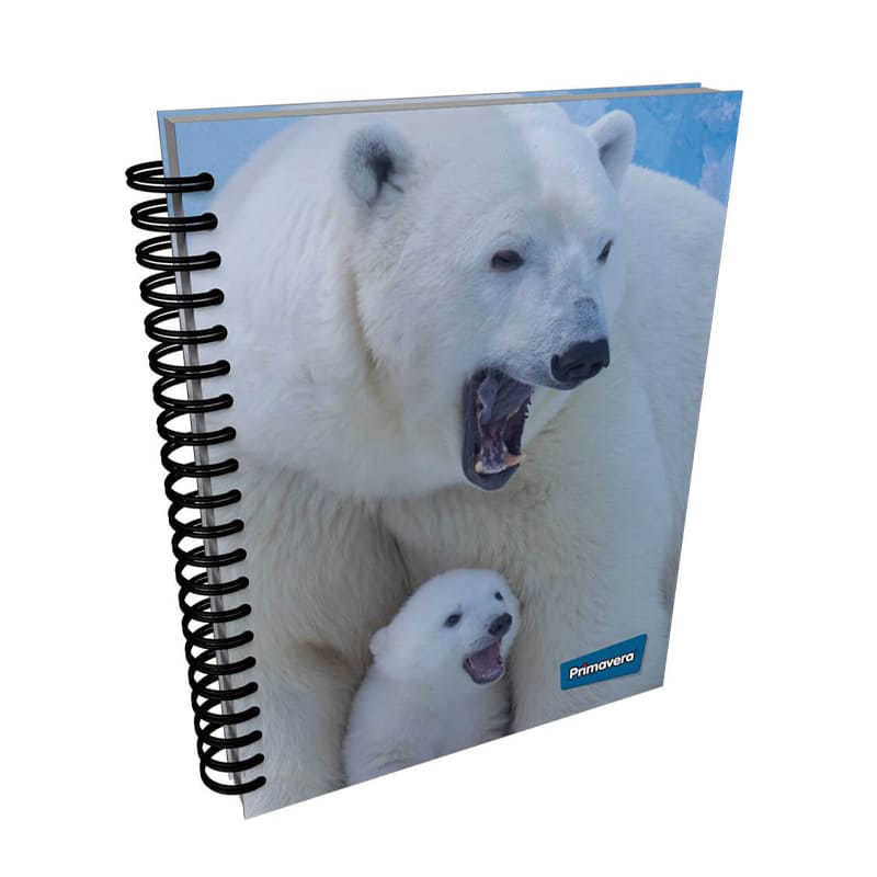 Agenda argollada pasta dura 7 MATERIAS FEMENINO grande MOTIVOS SURTIDOS CUADRICULADO #16