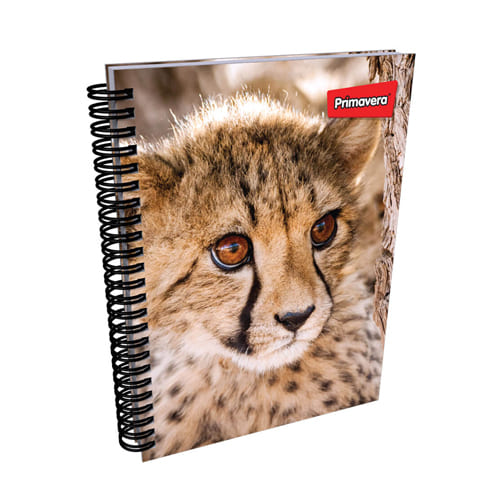 Agenda Argollada pasta dura 5 MATERIAS UNISEX pequeño ANIMALES CUADRICULADO